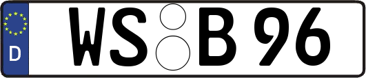 WS-B96