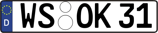 WS-OK31