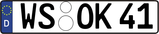 WS-OK41