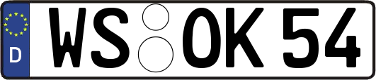 WS-OK54