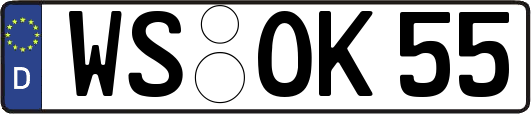 WS-OK55
