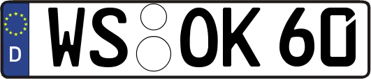 WS-OK60