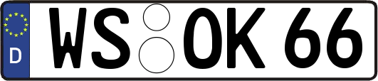 WS-OK66