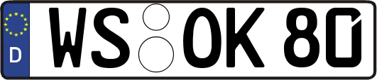 WS-OK80