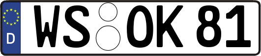 WS-OK81