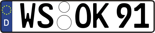 WS-OK91