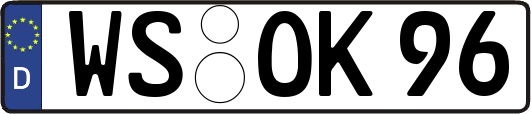 WS-OK96
