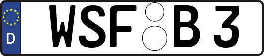 WSF-B3