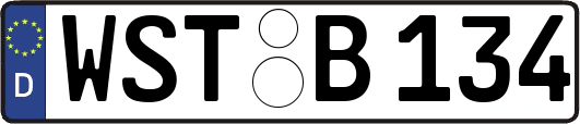 WST-B134