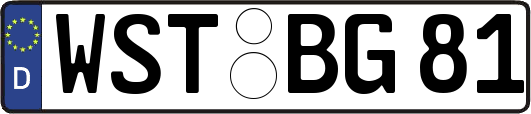 WST-BG81