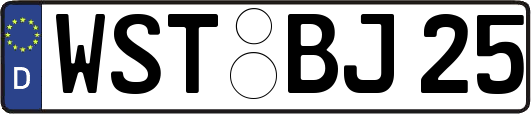 WST-BJ25