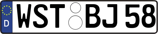 WST-BJ58