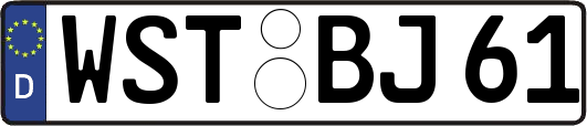 WST-BJ61