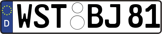 WST-BJ81