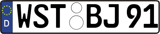 WST-BJ91