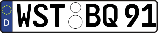 WST-BQ91