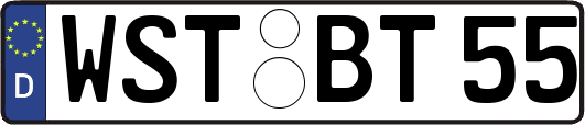 WST-BT55