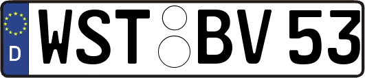 WST-BV53