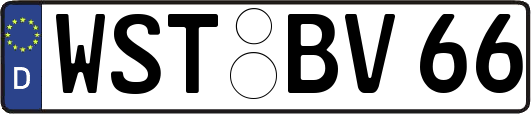 WST-BV66