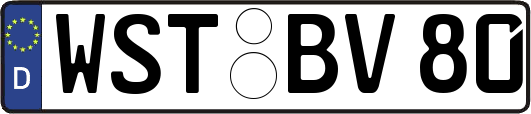 WST-BV80