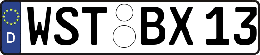 WST-BX13