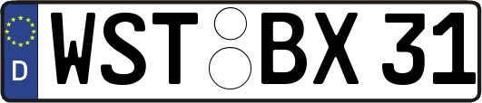 WST-BX31