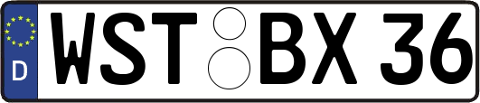 WST-BX36