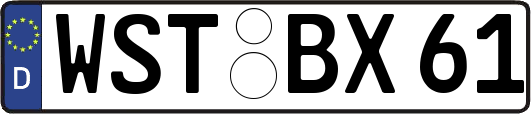WST-BX61