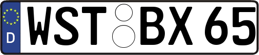 WST-BX65