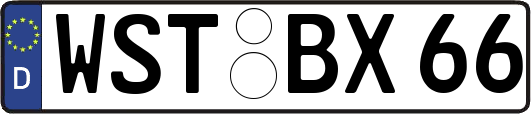 WST-BX66