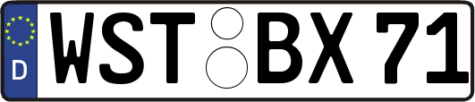 WST-BX71