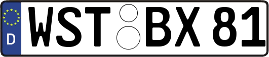 WST-BX81