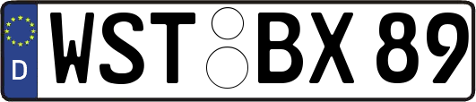 WST-BX89