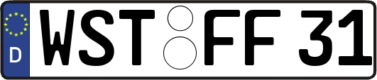 WST-FF31