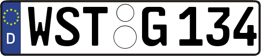 WST-G134