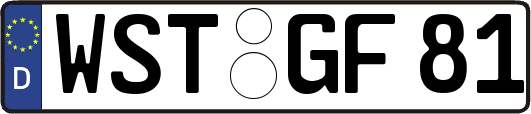 WST-GF81