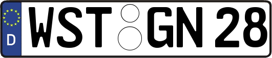 WST-GN28