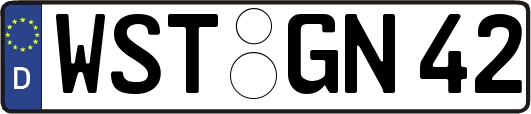 WST-GN42