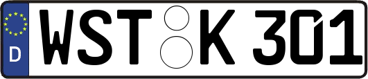 WST-K301