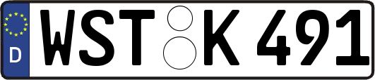 WST-K491
