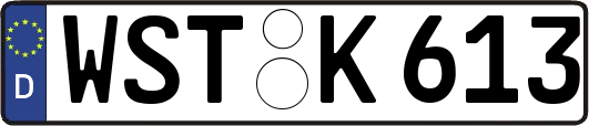 WST-K613