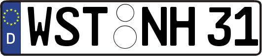 WST-NH31