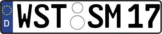 WST-SM17