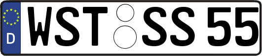 WST-SS55