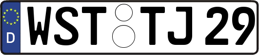 WST-TJ29
