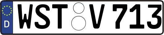 WST-V713