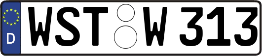 WST-W313