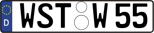 WST-W55