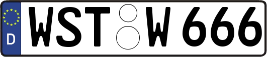 WST-W666
