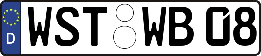 WST-WB08